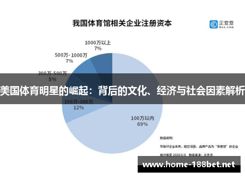 美国体育明星的崛起：背后的文化、经济与社会因素解析